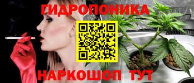 кокс Обь
