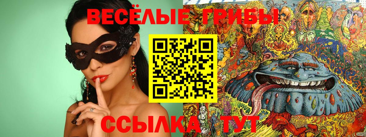 Псилоцибиновые грибы прущие грибы  Вход с VPN  Серпухов 